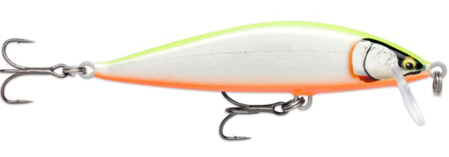 (GDCO) Gilded Chartreuse Orange Belly
